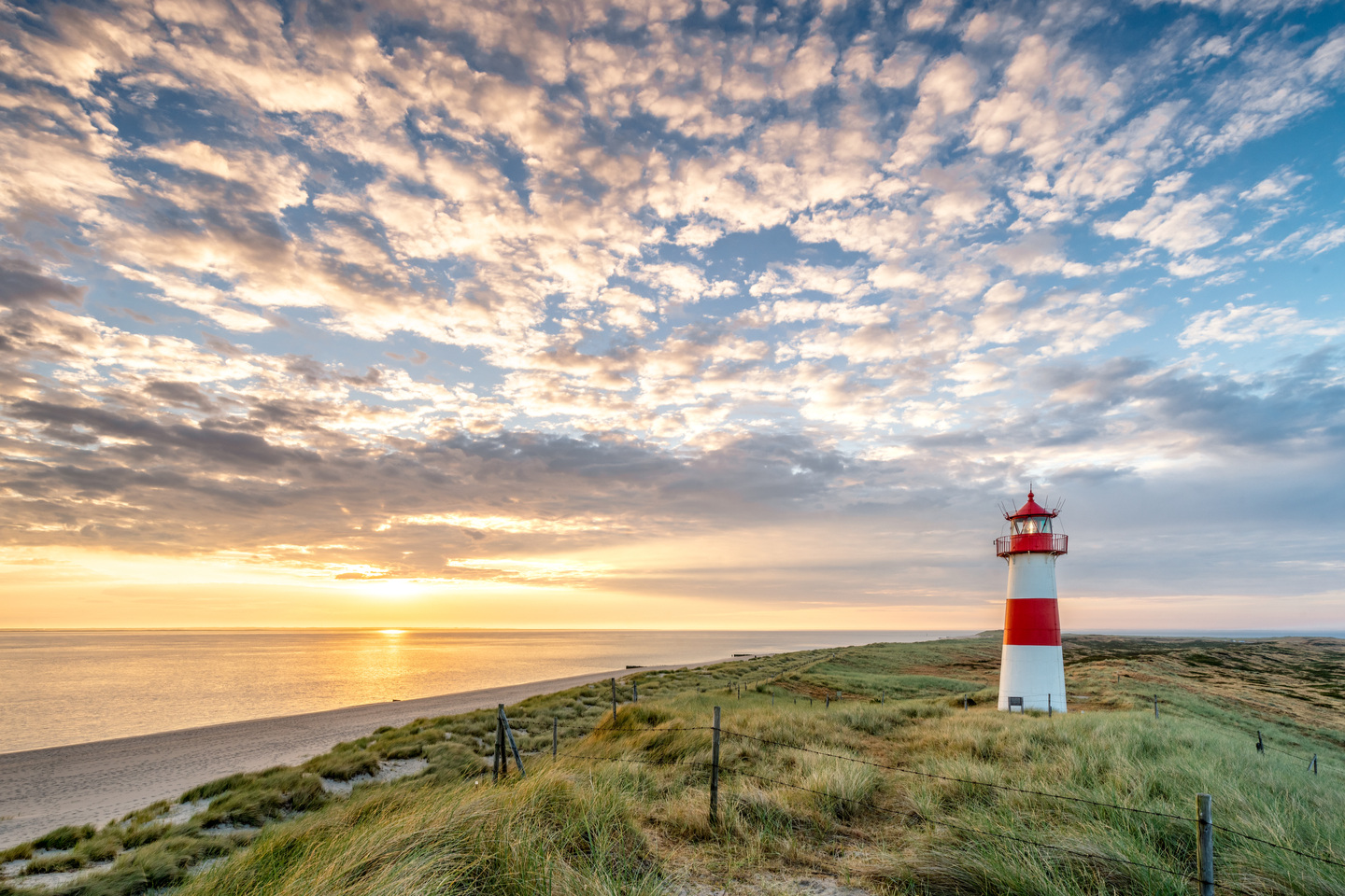 Discover Sylt Shutterstock 2