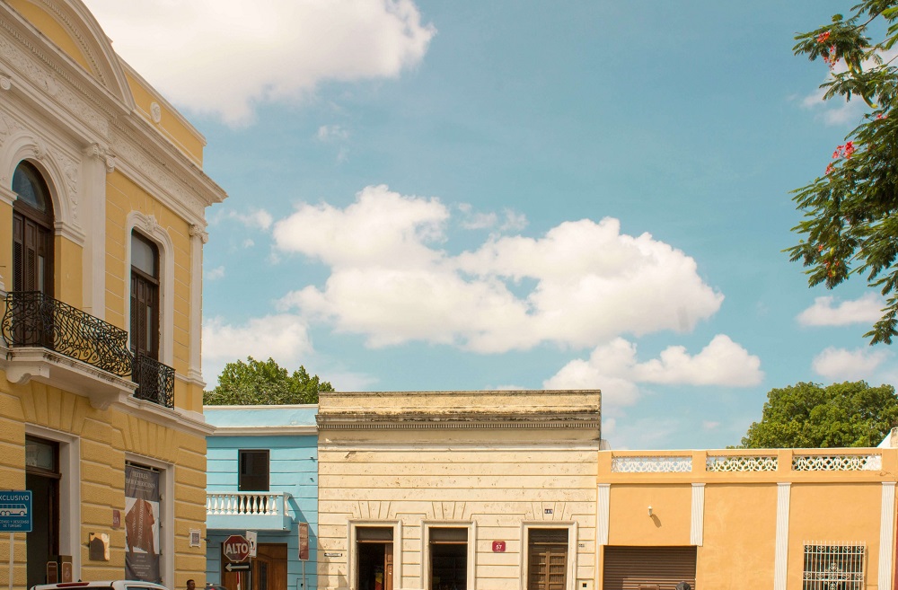 estefania-cortes-WBVRnm1vivU-unsplash (1)